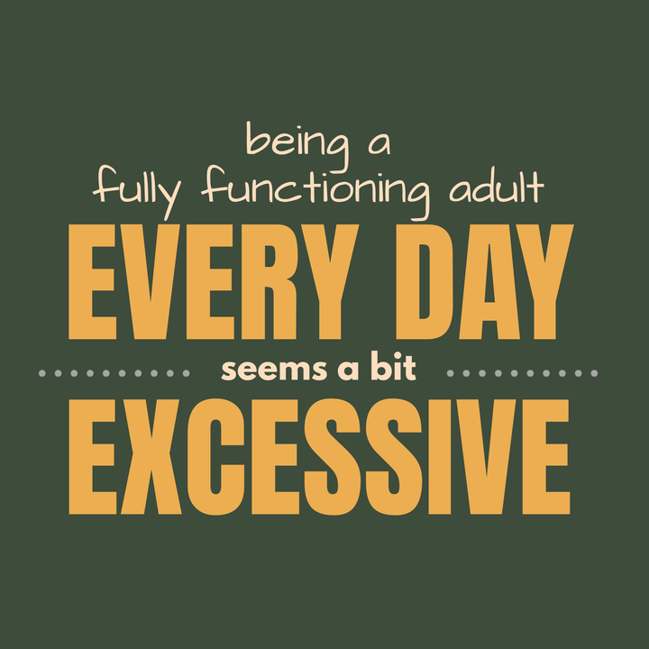 Being A Fully Functioning Adult Every Day Seems A Bit Excessive T-Shirt